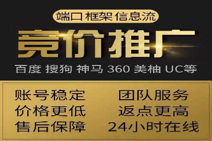 百度竞价推广案例：行业领军者成长故事