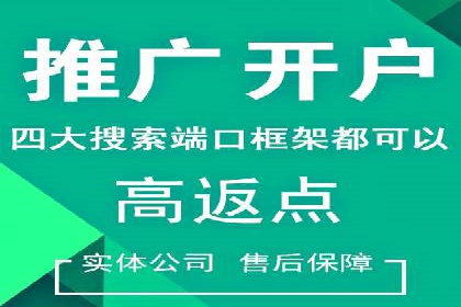 百度推广在电商领域的应用：成功提升销售额的秘诀
